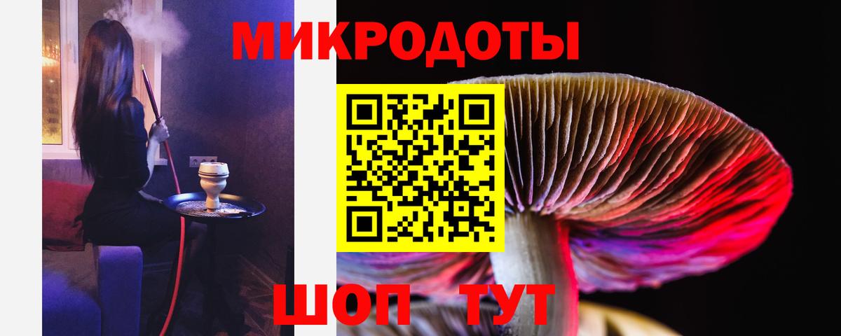 Псилоцибиновые грибы Cubensis Грязи